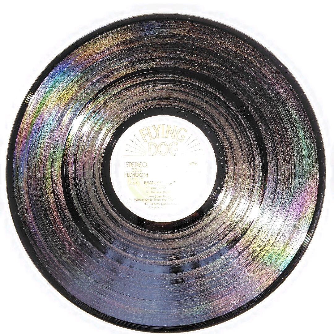 【送料無料 】山岸翔史 REALLY?! LP 国内盤 レコード