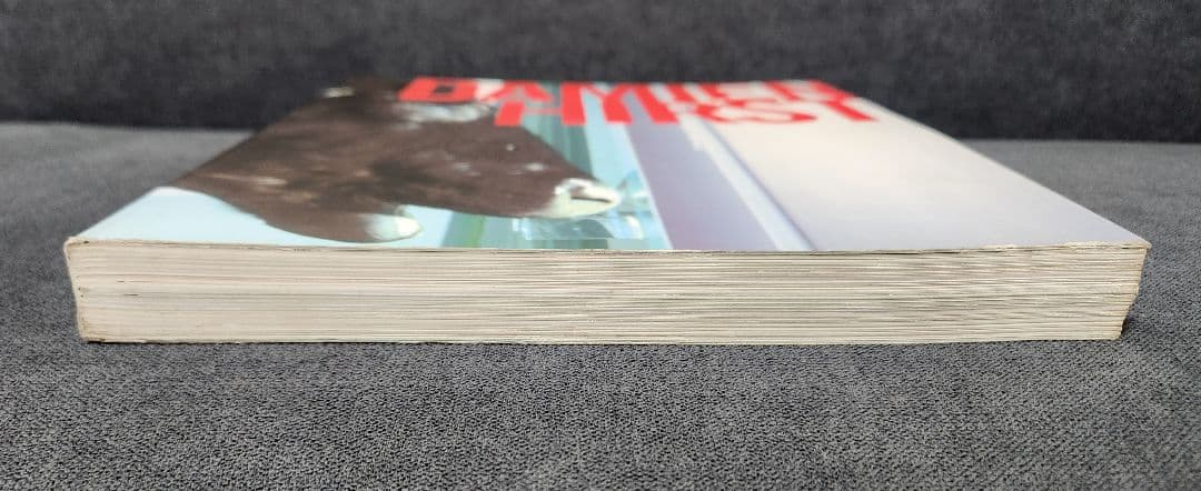 DAMIEN HIRST ダミアン・ハースト　作品集