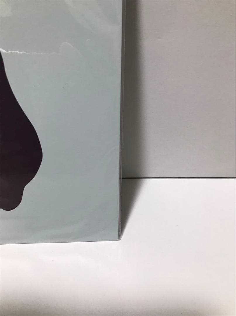 坂本慎太郎 / 物語のように