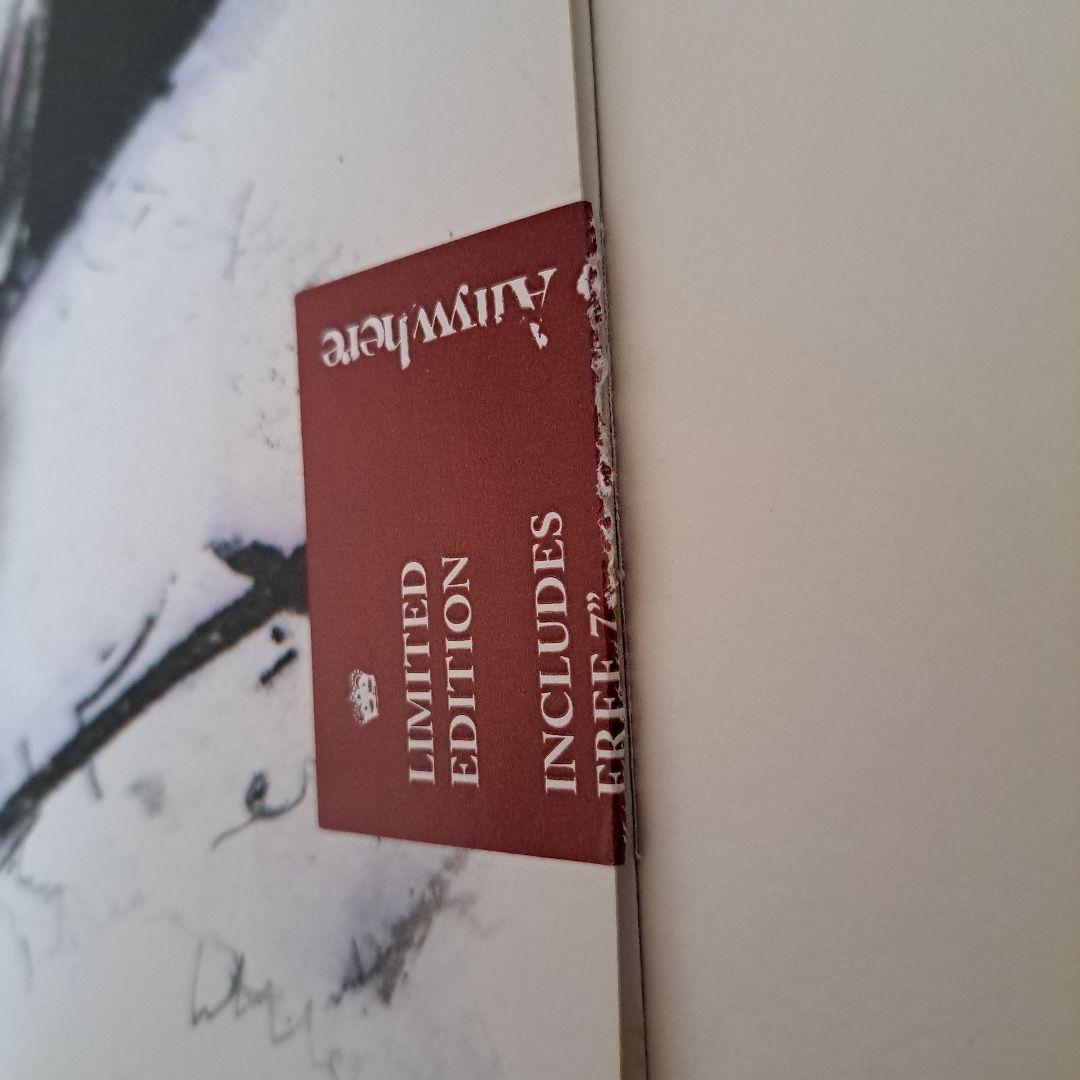 Dirty Pretty Things レコードセット ストロークス