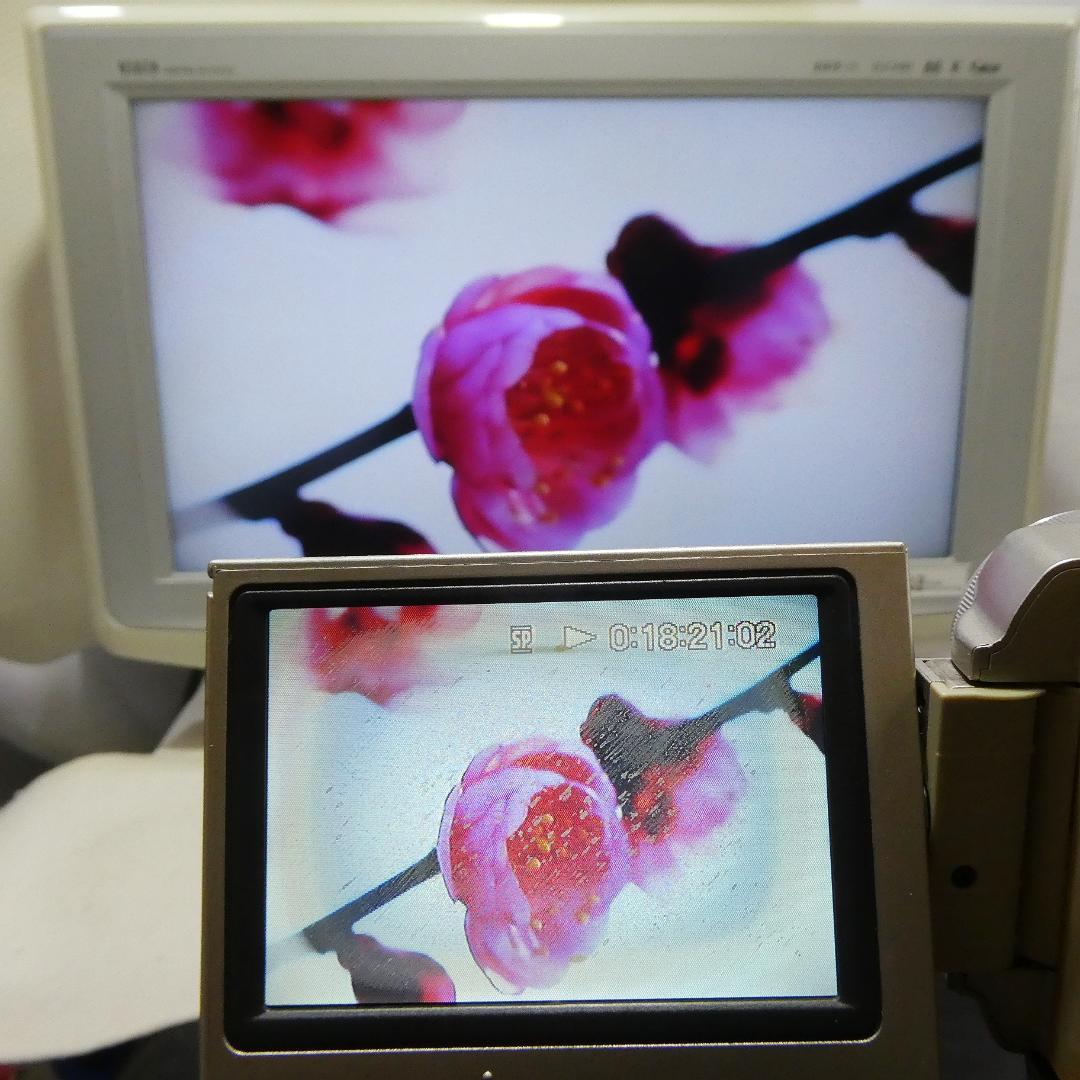 動作品ソニー DCR-TRV10 Mini DVビデオカメラDVDダビングに最適