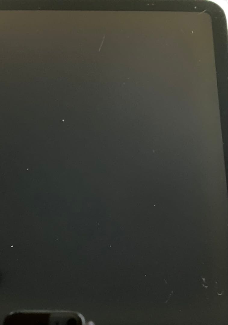 【早い者勝ち】iPad Pro 11 第３世代 256GB 【すぐ発送】
