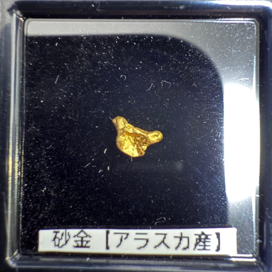 シ*1様 砂金 特大 天然物 【アラスカ産】#97鑑定済 0.23ｇ
