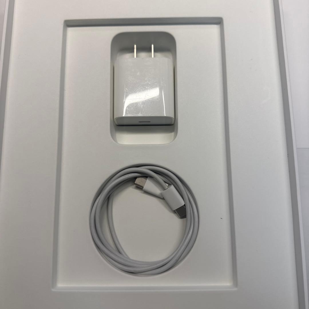 iPad Air 4世代 256GB Wi-Fi+Apple Pencil 2
