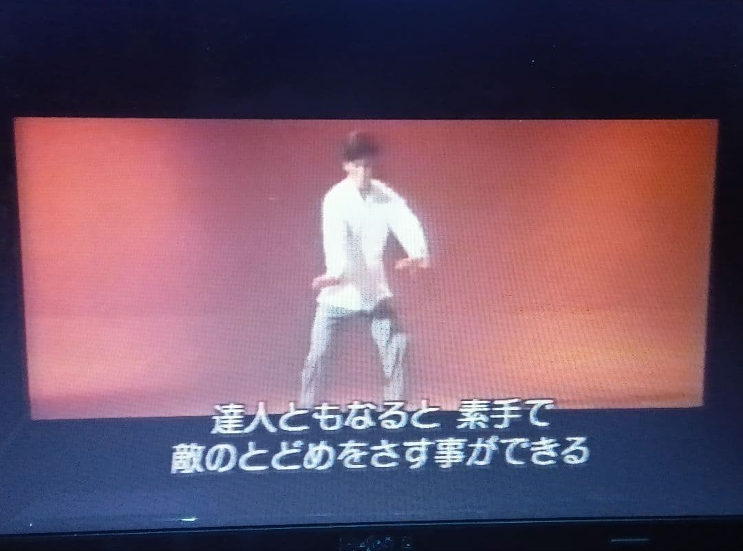 ドラゴン酔太極拳 特別版 DVD3枚組 女デブゴン強烈無敵の体潰し 日本視聴可能