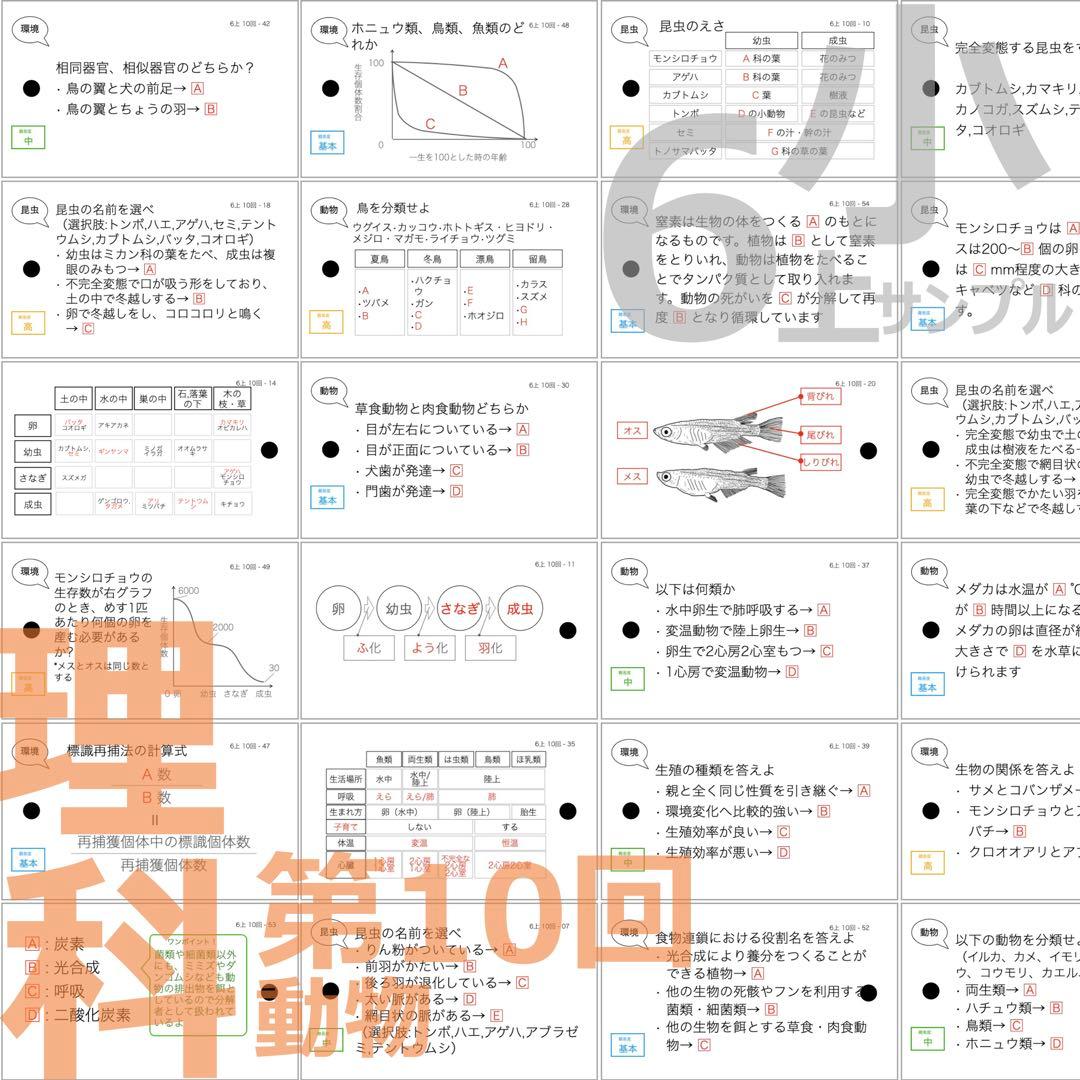 中学受験 暗記カード【6年上 理科 10-17回】予習シリーズ 組分けテスト対策