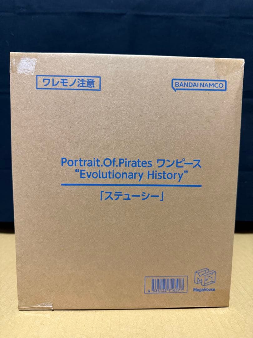ワンピース　POP ステューシー