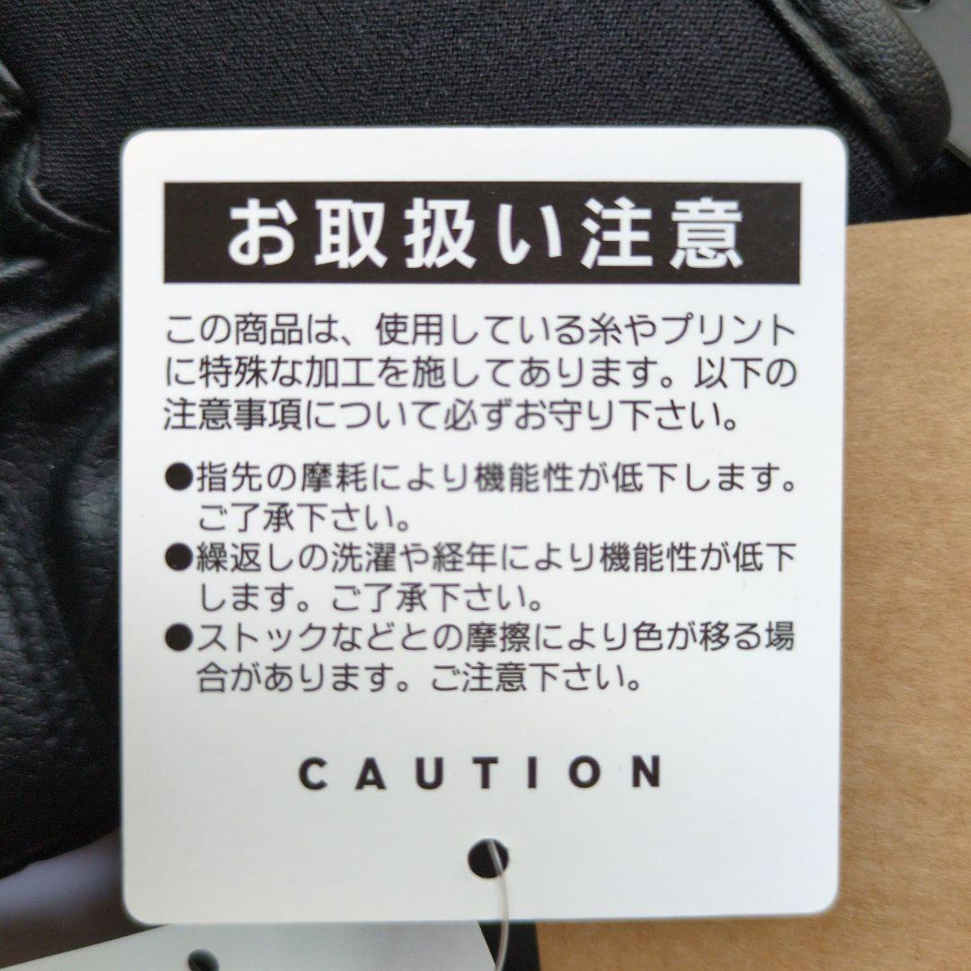 あーい　ザ・ ノースフェイス・ アースリーグローブ 防水防寒手袋 ブラック